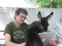 interspecies_communication01.jpg
